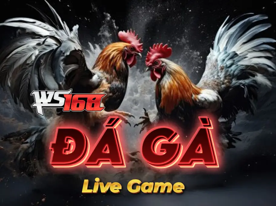 Home đá gà Lucky88