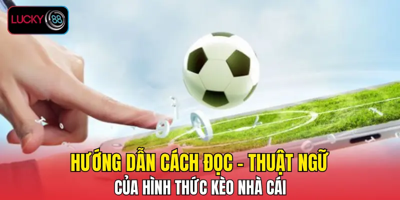 Hướng dẫn cách đọc - thuật ngữ của hình thức kèo nhà cái