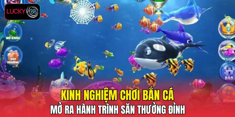 Kinh Nghiệm Chơi Bắn Cá - Mở Ra Hành Trình Săn Thưởng Đỉnh