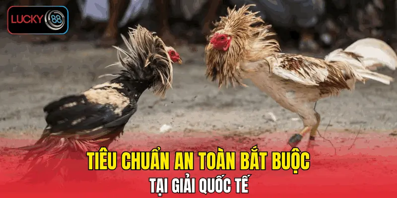 Những tiêu chuẩn an toàn bắt buộc tại giải quốc tế Những tiêu chuẩn an toàn bắt buộc tại giải quốc tế