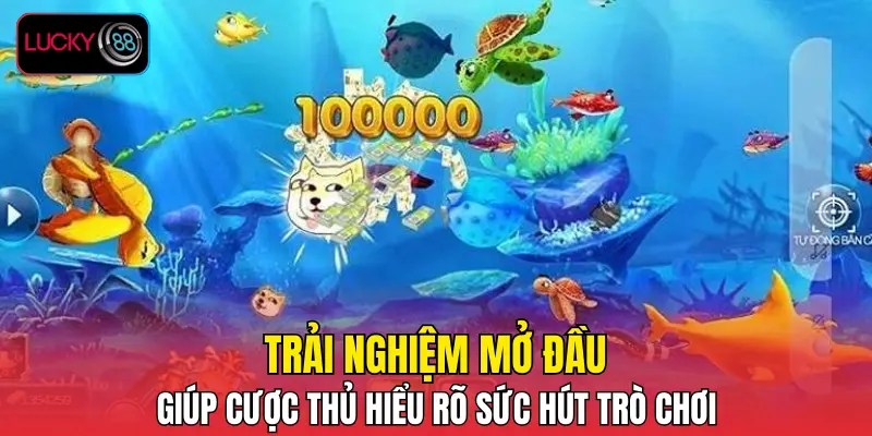 Trải nghiệm mở đầu giúp cược thủ hiểu rõ sức hút trò chơi
